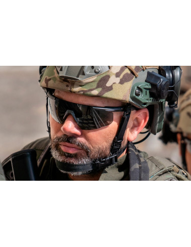 Wiley X Saber Advanced 317 glasses (clear / grey)
