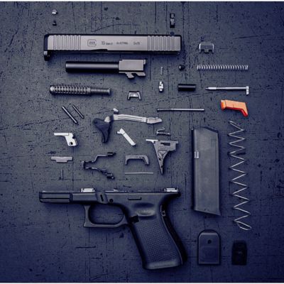 Ginklų dalys